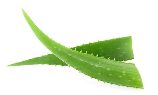 Το εμπορικό σήμα της μάρκας περιέχει Aloe Vera